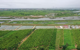 “一枣一世界”带动的多元产业生态